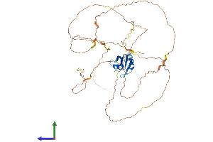 AlphaFold protein structure predicition of Human Recombinant RBMY1A1 Protein, UniprotID P0DJD3