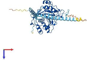B4GALT5 Protein (AA 1-388) (His tag)