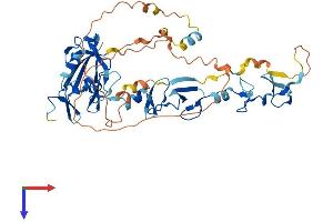 PDLIM7 Protein (AA 1-457) (His tag)