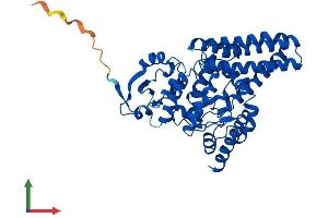 Protein Structure (PS) image for Fatty Acid Desaturase 1 (FADS1) (AA 1-447) protein (His tag) (ABIN7560177)