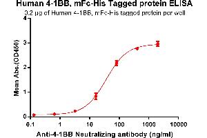 ELISA plate pre-coated by 2 μg/mL (100 μL/well) Human 4-1BB, mFc-His tagged protein (ABIN6961084) can bind Anti-4-1BB Neutralizing antibody in a linear range of 3.