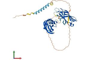 Protein Structure (PS) image for Synaptotagmin VII (SYT7) (AA 1-403) protein (His tag) (ABIN7565178)