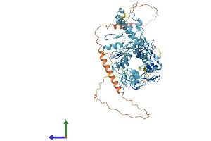 AlphaFold protein structure predicition of Human Recombinant ZNF432 Protein, UniprotID O94892