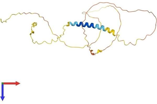 C4orf49 Protein (AA 1-240) (His tag)
