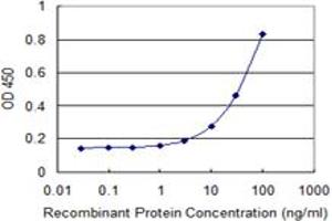 Detection limit for recombinant GST tagged MUSK is 1 ng/ml as a capture antibody. (MUSK Antikörper  (AA 301-400))