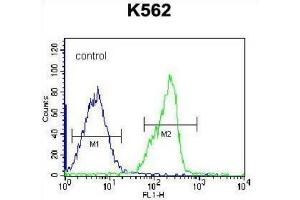 Flow Cytometry (FACS) image for anti-Zinc Finger Protein 146 (ZNF146) antibody (ABIN2996706) (ZNF146 Antikörper)