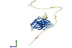 Protein Structure (PS) image for Double C2-Like Domains, beta (DOC2B) (AA 1-412) protein (His tag) (ABIN7556664)