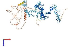 ZNF37A Protein (AA 1-561) (His tag)