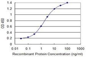 Detection limit for recombinant GST tagged GSTM2 is 0. (GSTM2 Antikörper  (AA 90-189))