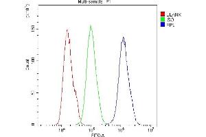 anti-Periplakin (PPL) (AA 1664-1701), (C-Term) antibody