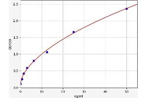 SH3GL1 ELISA Kit