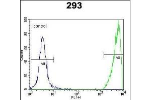 Flow Cytometry (FACS) image for anti-GNAS Complex Locus (GNAS) (AA 287-315), (C-Term) antibody (ABIN656989)