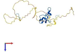 Protein Structure (PS) image for CXXC Finger Protein 4 (CXXC4) (AA 1-198) protein (His tag) (ABIN7557965)