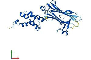 Protein Structure (PS) image for F-Box Protein 44 (FBXO44) (AA 1-255) protein (His tag) (ABIN7558713)