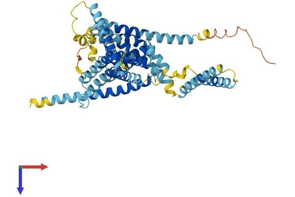 LMBR1 Protein (AA 1-490) (His tag)