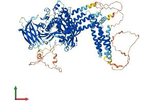 Protein Structure (PS) image for Inositol Polyphosphate-4-Phosphatase, Type I, 107kDa (INPP4A) (AA 1-977) protein (His tag) (ABIN7554185)
