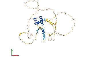 Protein Structure (PS) image for ALX Homeobox 1 (ALX1) (AA 1-326) protein (His tag) (ABIN7559195)