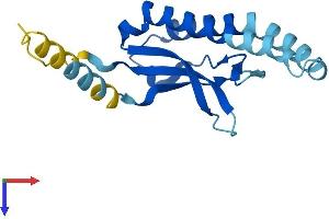 CHIC2 Protein (AA 1-165) (His tag)