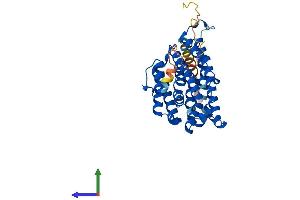 Protein Structure (PS) image for Ribonucleotide Reductase M2 B (TP53 Inducible) (RRM2B) (AA 1-351) protein (His tag) (ABIN7551417)