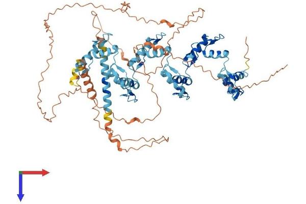 ZNF180 Protein (AA 1-692) (His tag)