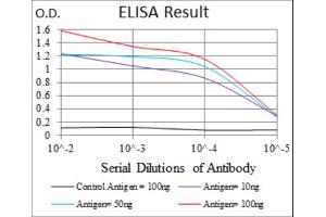 Red: Control Antigen (100ng) ; Purple: Antigen (10ng) ; Green: Antigen (50ng) ; Blue: Antigen (100ng). (Survivin Antikörper)