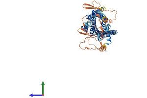 Protein Structure (PS) image for Adrenoceptor alpha 1A (ADRA1A) (AA 1-466) protein (His tag) (ABIN7551979)