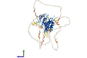 Protein Structure (PS) image for Single-Minded Homolog 2 (SIM2) (AA 1-657) protein (His tag) (ABIN7557658)