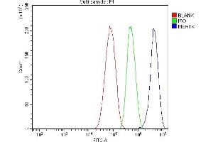 Flow Cytometry analysis of HepG2 cells using anti-MERTK antibody (ABIN7600623). (MERTK Antikörper  (AA 21-489))