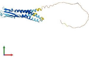Protein Structure (PS) image for Synaptoporin (SYNPR) (AA 1-265) protein (His tag) (ABIN7544071)