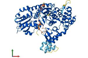 Protein Structure (PS) image for Syntaxin Binding Protein 1 (STXBP1) (AA 1-594) protein (His tag) (ABIN7562177)
