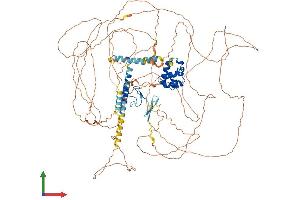 Protein Structure (PS) image for Polyhomeotic Homolog 3 (PHC3) (AA 1-981) protein (His tag) (ABIN7564586)