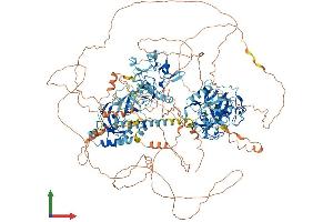 Protein Structure (PS) image for Wolf-Hirschhorn Syndrome Candidate 1-Like 1 (WHSC1L1) (AA 1-1439) protein (His tag) (ABIN7564083)