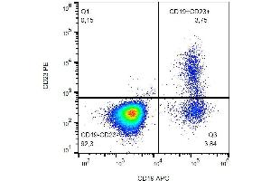 Surface staining of human peripheral blood cells with anti-human CD23 (EBVCS-5) PE. (FCER2 Antikörper  (PE))