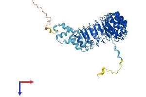 FBXL20 Protein (AA 1-436) (His tag)