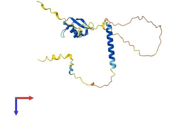 LYSMD1 Protein (AA 1-226) (His tag)