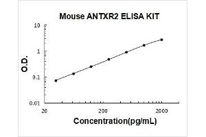 Anthrax Toxin Receptor 2 (ANTXR2) ELISA Kit