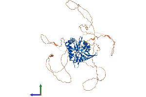 Protein Structure (PS) image for Inositol-Trisphosphate 3-Kinase C (ITPKC) (AA 1-678) protein (His tag) (ABIN7558285)
