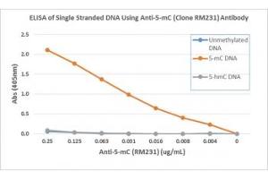 ELISA of single stranded DNA using recombinant 5mC antibody.