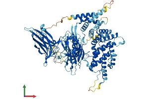 Protein Structure (PS) image for RAS P21 Protein Activator 4 (RASA4) (AA 1-802) protein (His tag) (ABIN7564125)