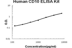 Human CD10/Neprilysin Accusignal ELISA Kit Human CD10/Neprilysin AccuSignal ELISA Kit standard curve.