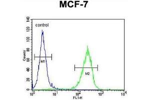 CO027 Antibody (C-term) flow cytometric analysis of MCF-7 cells (right histogram) compared to a negative control cell (left histogram). (C15orf27 Antikörper  (C-Term))