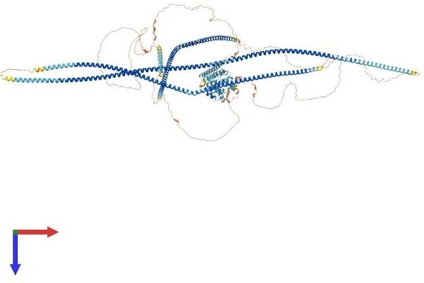 CCDC88B Protein (AA 1-1481) (His tag)