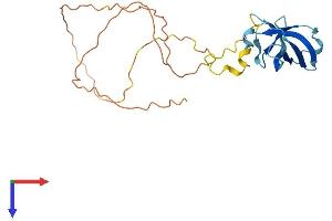 GAR1 Protein (AA 1-231) (His tag)
