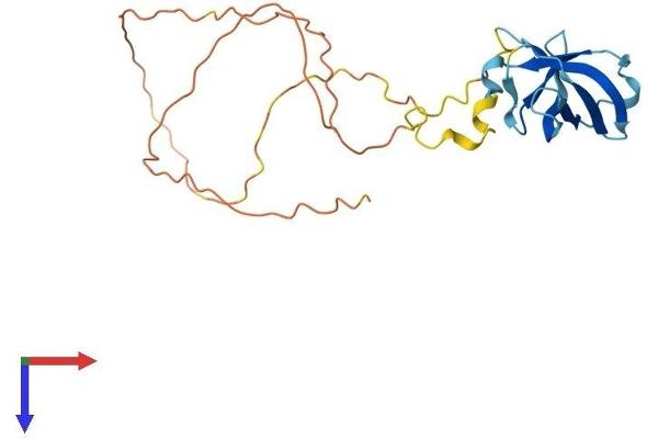 GAR1 Protein (AA 1-231) (His tag)