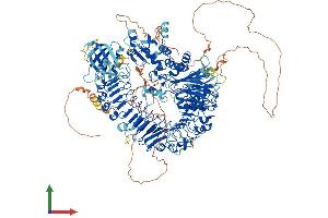 Protein Structure (PS) image for PH Domain and Leucine Rich Repeat Protein Phosphatase 2 (PHLPP2) (AA 1-1320) protein (His tag) (ABIN7564455)
