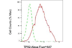 Flow cytometric analysis of TPX2 expression in HAP-1 cells using TPX2 antibody (ABIN7800579), 1:2,000). (Rekombinanter TPX2 Antikörper)