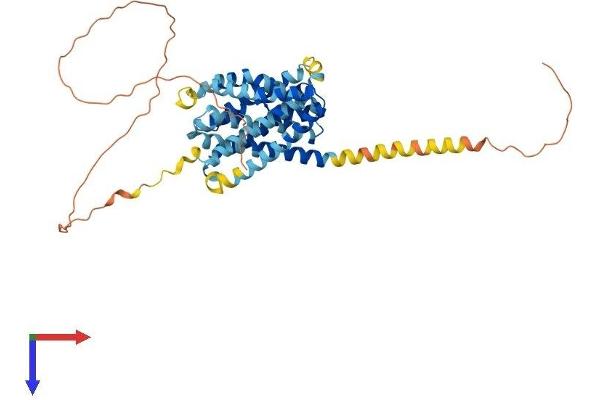 SLC10A4 Protein (AA 1-437) (His tag)