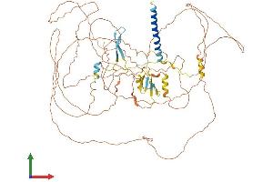 Protein Structure (PS) image for Chromosome 1 Open Reading Frame 103 (C1orf103) (AA 1-755) protein (His tag) (ABIN7559260)