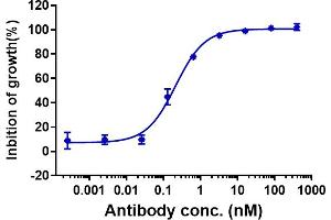 GM-CSF-mediated proliferation of TF-1 can be completely blocked by antibodies with an IC50 of 4.