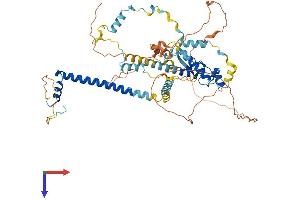 SPIRE1 Protein (AA 1-598) (His tag)